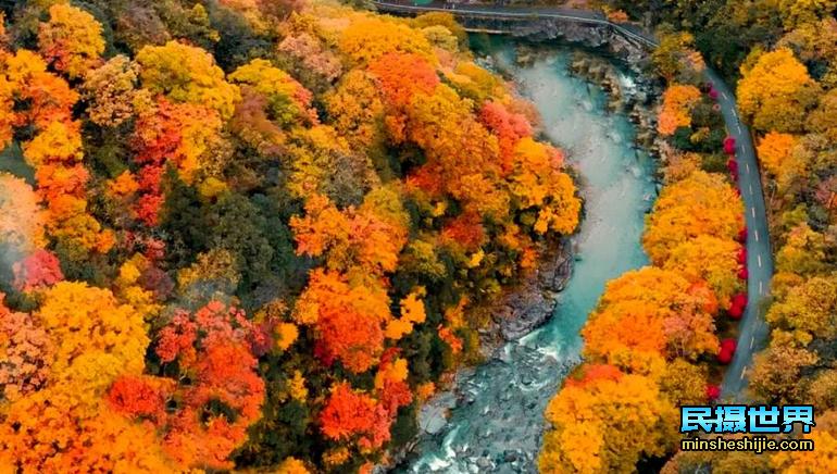 四川光雾山旅游怎样安排合适？