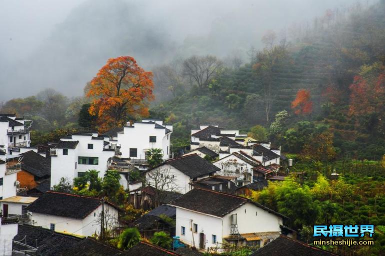 婺源石城红枫叶景区简介：绚烂之秋—婺源石城红枫叶景区掠影